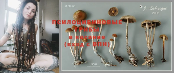 spice Карталы