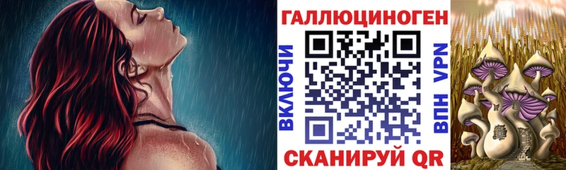 Псилоцибиновые грибы мицелий  Купить где  Задонск 