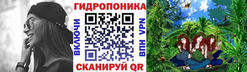 Марихуана OG Kush  Купить где  Задонск 